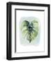 Paradise Palm Leaves I-Grace Popp-Framed Art Print