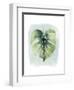 Paradise Palm Leaves I-Grace Popp-Framed Art Print