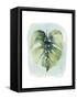 Paradise Palm Leaves I-Grace Popp-Framed Stretched Canvas