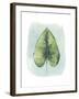 Paradise Palm Leaves III-Grace Popp-Framed Art Print