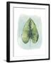 Paradise Palm Leaves III-Grace Popp-Framed Art Print