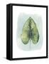 Paradise Palm Leaves III-Grace Popp-Framed Stretched Canvas