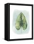 Paradise Palm Leaves III-Grace Popp-Framed Stretched Canvas