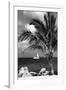 Paradise Palm Tree with a Sailboat on the Ocean - Florida-Philippe Hugonnard-Framed Photographic Print