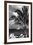 Paradise Palm Tree with a Sailboat on the Ocean - Florida-Philippe Hugonnard-Framed Photographic Print