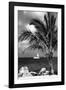 Paradise Palm Tree with a Sailboat on the Ocean - Florida-Philippe Hugonnard-Framed Photographic Print