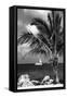 Paradise Palm Tree with a Sailboat on the Ocean - Florida-Philippe Hugonnard-Framed Stretched Canvas