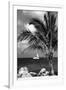 Paradise Palm Tree with a Sailboat on the Ocean - Florida-Philippe Hugonnard-Framed Photographic Print