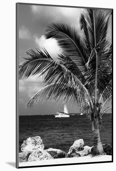 Paradise Palm Tree with a Sailboat on the Ocean - Florida-Philippe Hugonnard-Mounted Photographic Print