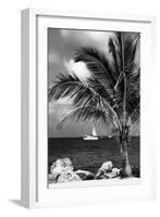 Paradise Palm Tree with a Sailboat on the Ocean - Florida-Philippe Hugonnard-Framed Photographic Print