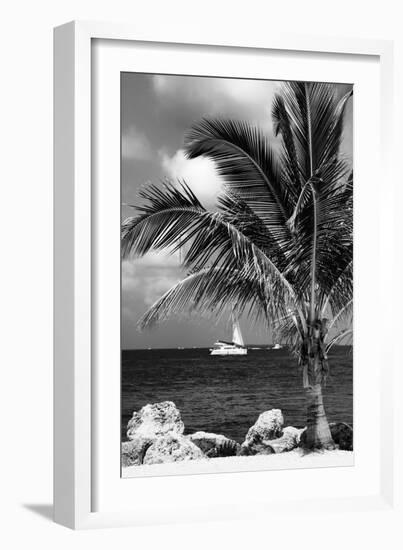 Paradise Palm Tree with a Sailboat on the Ocean - Florida-Philippe Hugonnard-Framed Photographic Print