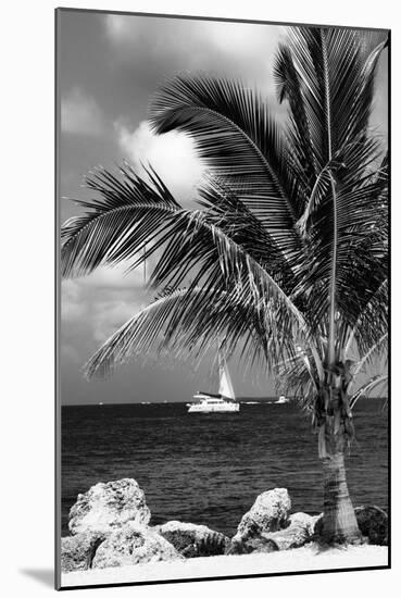Paradise Palm Tree with a Sailboat on the Ocean - Florida-Philippe Hugonnard-Mounted Photographic Print