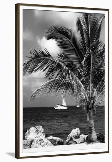 Paradise Palm Tree with a Sailboat on the Ocean - Florida-Philippe Hugonnard-Framed Premium Photographic Print