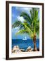 Paradise Palm Tree with a Sailboat on the Ocean - Florida-Philippe Hugonnard-Framed Premium Photographic Print