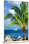 Paradise Palm Tree with a Sailboat on the Ocean - Florida-Philippe Hugonnard-Mounted Premium Photographic Print