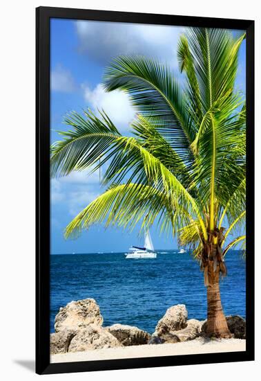 Paradise Palm Tree with a Sailboat on the Ocean - Florida-Philippe Hugonnard-Framed Photographic Print