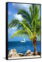 Paradise Palm Tree with a Sailboat on the Ocean - Florida-Philippe Hugonnard-Framed Stretched Canvas