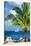 Paradise Palm Tree with a Sailboat on the Ocean - Florida-Philippe Hugonnard-Stretched Canvas