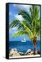 Paradise Palm Tree with a Sailboat on the Ocean - Florida-Philippe Hugonnard-Framed Stretched Canvas