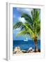 Paradise Palm Tree with a Sailboat on the Ocean - Florida-Philippe Hugonnard-Framed Photographic Print