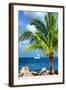 Paradise Palm Tree with a Sailboat on the Ocean - Florida-Philippe Hugonnard-Framed Photographic Print