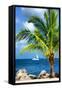 Paradise Palm Tree with a Sailboat on the Ocean - Florida-Philippe Hugonnard-Framed Stretched Canvas