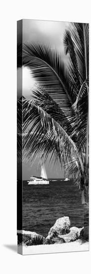 Paradise Palm Tree with a Sailboat on the Ocean - Florida-Philippe Hugonnard-Stretched Canvas