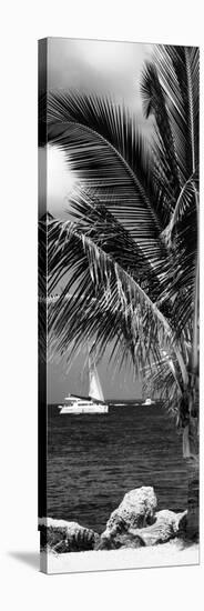 Paradise Palm Tree with a Sailboat on the Ocean - Florida-Philippe Hugonnard-Stretched Canvas