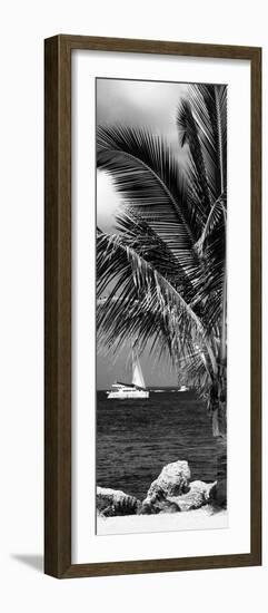 Paradise Palm Tree with a Sailboat on the Ocean - Florida-Philippe Hugonnard-Framed Photographic Print