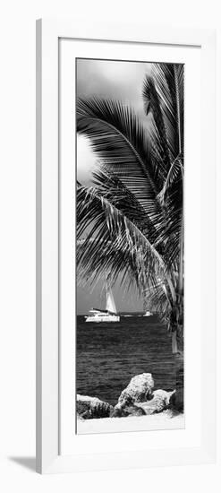 Paradise Palm Tree with a Sailboat on the Ocean - Florida-Philippe Hugonnard-Framed Photographic Print