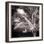 Paradise Palm Tree with a Sailboat on the Ocean - Florida-Philippe Hugonnard-Framed Photographic Print