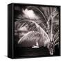 Paradise Palm Tree with a Sailboat on the Ocean - Florida-Philippe Hugonnard-Framed Stretched Canvas