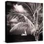 Paradise Palm Tree with a Sailboat on the Ocean - Florida-Philippe Hugonnard-Stretched Canvas