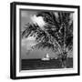 Paradise Palm Tree with a Sailboat on the Ocean - Florida-Philippe Hugonnard-Framed Photographic Print