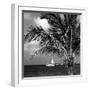 Paradise Palm Tree with a Sailboat on the Ocean - Florida-Philippe Hugonnard-Framed Photographic Print