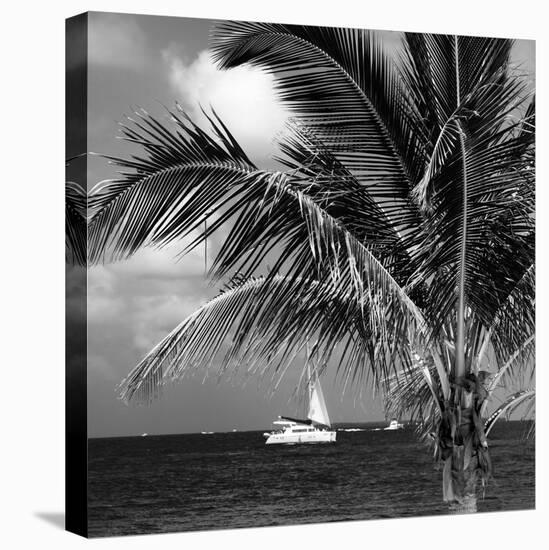 Paradise Palm Tree with a Sailboat on the Ocean - Florida-Philippe Hugonnard-Stretched Canvas