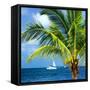 Paradise Palm Tree with a Sailboat on the Ocean - Florida-Philippe Hugonnard-Framed Stretched Canvas
