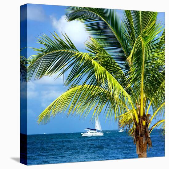Paradise Palm Tree with a Sailboat on the Ocean - Florida-Philippe Hugonnard-Stretched Canvas