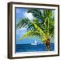 Paradise Palm Tree with a Sailboat on the Ocean - Florida-Philippe Hugonnard-Framed Photographic Print