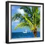 Paradise Palm Tree with a Sailboat on the Ocean - Florida-Philippe Hugonnard-Framed Photographic Print