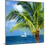 Paradise Palm Tree with a Sailboat on the Ocean - Florida-Philippe Hugonnard-Mounted Photographic Print