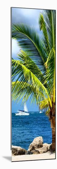 Paradise Palm Tree with a Sailboat on the Ocean - Florida-Philippe Hugonnard-Mounted Photographic Print