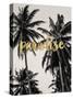 Paradise Palm Trees Golden-Amy Brinkman-Stretched Canvas