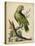 Paradise Parrots V-George Edwards-Stretched Canvas