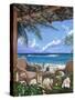 Paradise Porch-Scott Westmoreland-Stretched Canvas