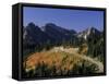 Paradise Road and Tatoosh Range, Mt. Rainier National Park, Washington, USA-null-Framed Stretched Canvas