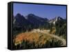 Paradise Road and Tatoosh Range, Mt. Rainier National Park, Washington, USA-null-Framed Stretched Canvas