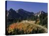 Paradise Road and Tatoosh Range, Mt. Rainier National Park, Washington, USA-null-Stretched Canvas