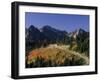 Paradise Road and Tatoosh Range, Mt. Rainier National Park, Washington, USA-null-Framed Photographic Print