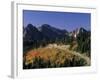 Paradise Road and Tatoosh Range, Mt. Rainier National Park, Washington, USA-null-Framed Photographic Print